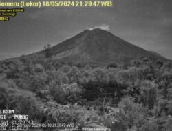 Gunung Semeru erupsi Lagi, 14 kali dalam sehari 