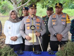 Polda Sumut Temukan Ladang Ganja di Mandailing Natal Dengan Data Satelit