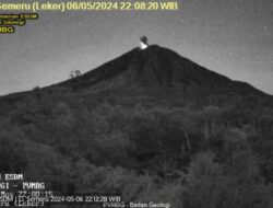 Kembali Erupsi, letusan Gunung Semeru setinggi 800 meter