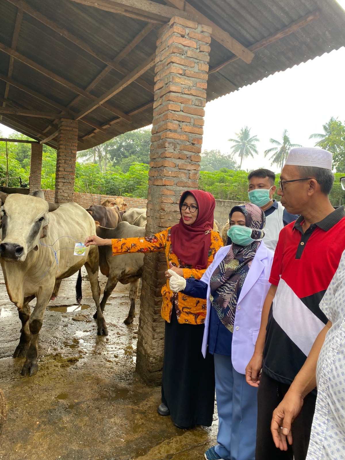 Pemkab Sergai Pastikan Harga Stabil dan Hewan Kurban Sehat Jelang Idul Adha