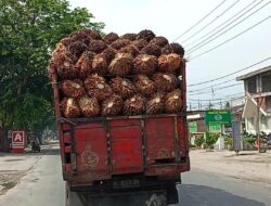 Potensi Bahaya Truk Tanpa Penutup di Sergai