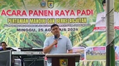 Sambut Panen Raya Padi, Bupati Sergai dan Wali Kota Medan Perkuat Kemitraan Pertanian