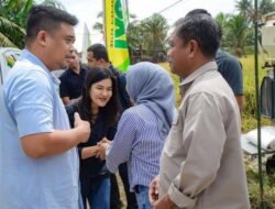 Sambut Panen Raya Padi, Bupati Sergai dan Wali Kota Medan Perkuat Kemitraan Pertanian