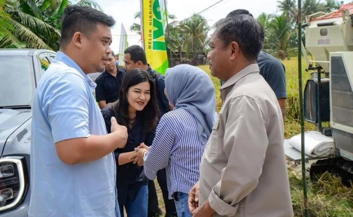 Sambut Panen Raya Padi, Bupati Sergai dan Wali Kota Medan Perkuat Kemitraan Pertanian