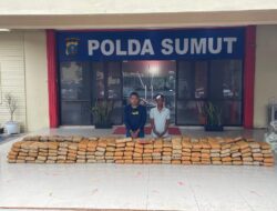 272 Kilogram Ganja Asal Aceh Digagalkan Polda Sumut di Langkat, Dua Pelaku Ditangkap