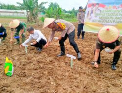 Jalankan Program Presiden RI, Kapolres Tebing Tinggi Tanam Bibit Jagung di Padang Hulu