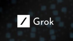 grok xAI