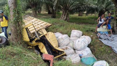 Truk Bermuatan Ikan Teri Terguling di Serdang Bedagai, Dua Orang Dilarikan ke Rumah Sakit