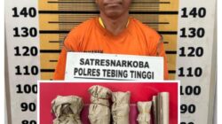 Kinoi Ditangkap Sat Resnarkoba Polres Tebing Tinggi Lantaran Miliki Ganja